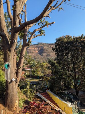 A tree with a camera mounted on it, a yellow and white staircase, and a view of a mountain in the background. - Chardara Agro Tourism (Jaoli)