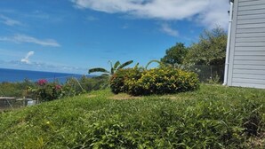 A grassy area with a bush and a fence. - Marie-France's comfort bungalow  (Baillif)