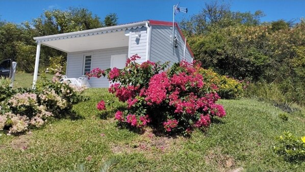A small white house with a red roof, surrounded by lush greenery and vibrant pink flowers. - Marie-France's comfort bungalow  (Baillif)