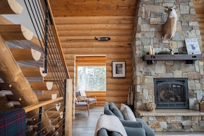 Smart TV, chimenea, reproductor de DVD y libros 