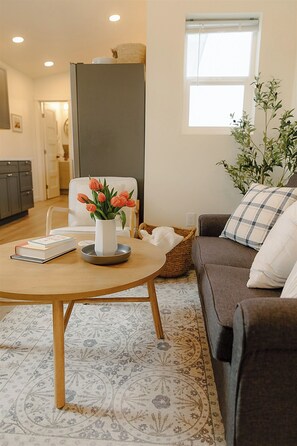 Televisión y libros