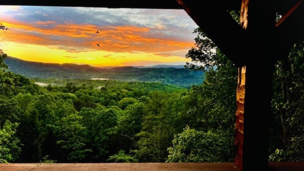Property grounds - Pet-Friendly Townsend Mtn Cabin w/ Hot Tub & Daybed Patio (Townsend)