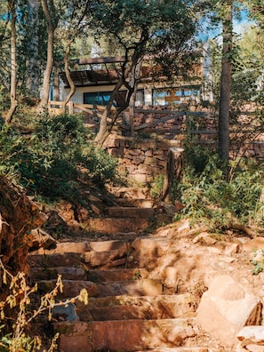 Steps lead to a serene outdoor pavilion surrounded by lush greenery.