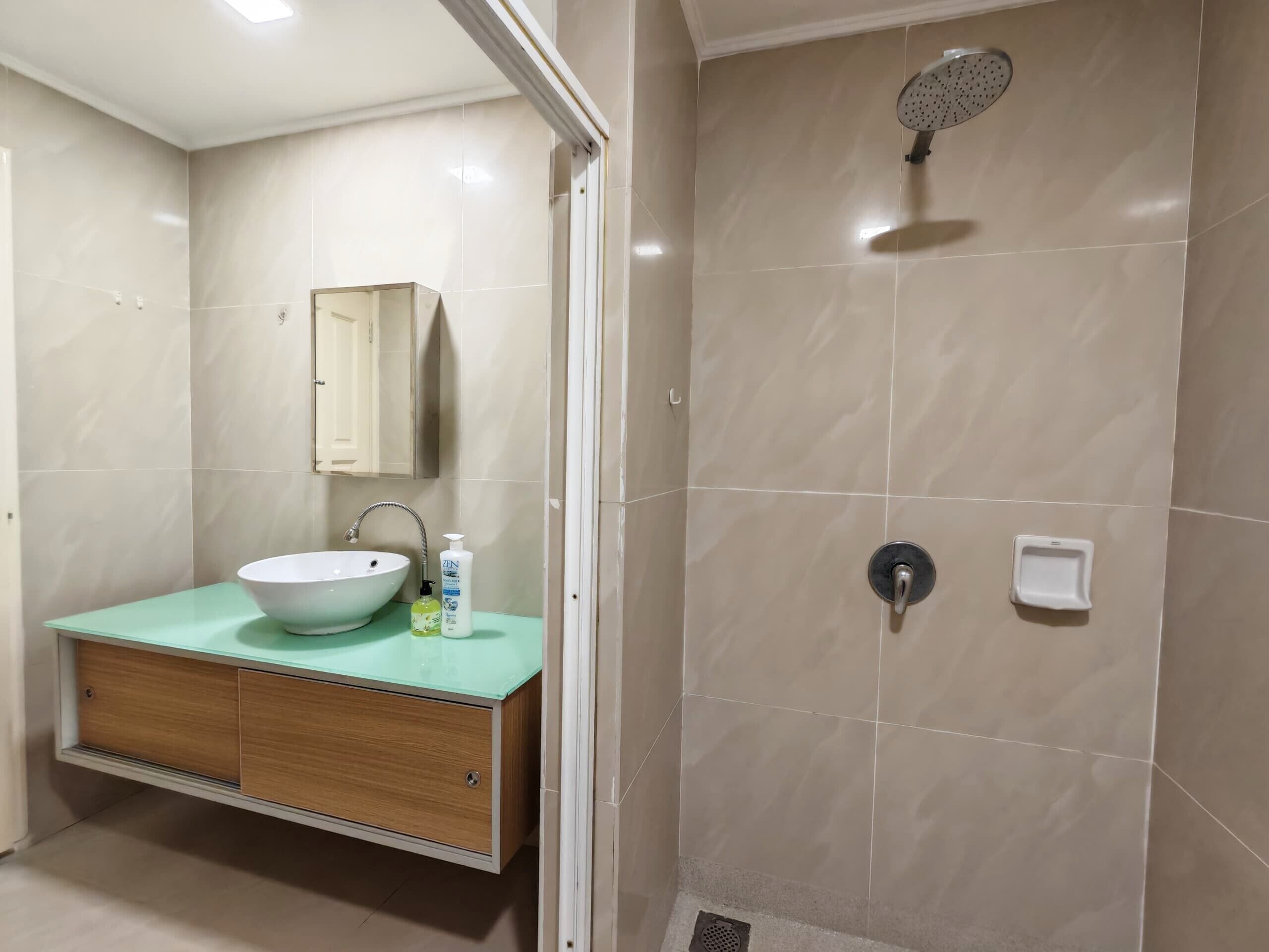 A bathroom with a white sink, a mirror, a shower with a handheld showerhead, and a toilet.