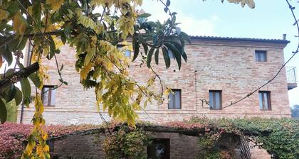 Cottage on the Marche hills with swimming pool.