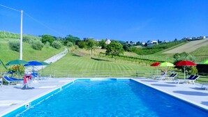 A swimming pool with lounge chairs and umbrellas, surrounded by a grassy area and a vineyard in the background. - Cottage on the Marche hills with swimming pool. (Marche)
