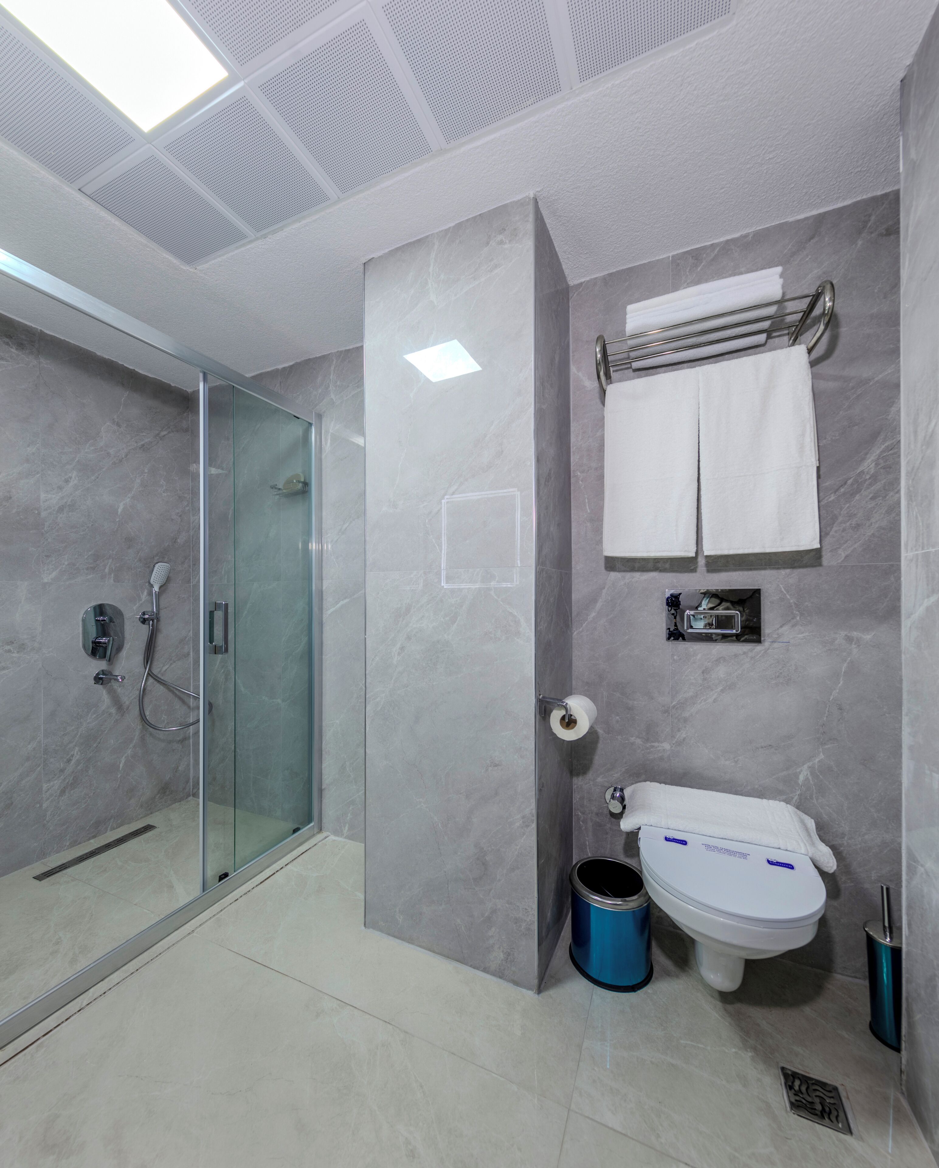 A modern bathroom with a glass shower enclosure, a toilet, and a sink.
