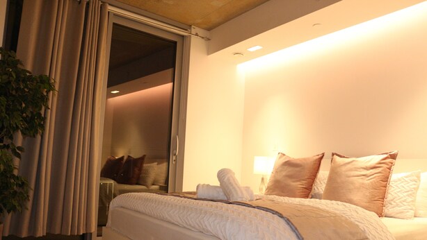 A hotel room with a bed, a plant, and a sliding door leading to a closet.
