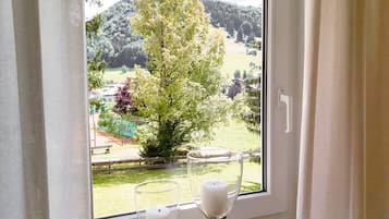 Apartment, 1 Bedroom, Balcony, City View | Interior