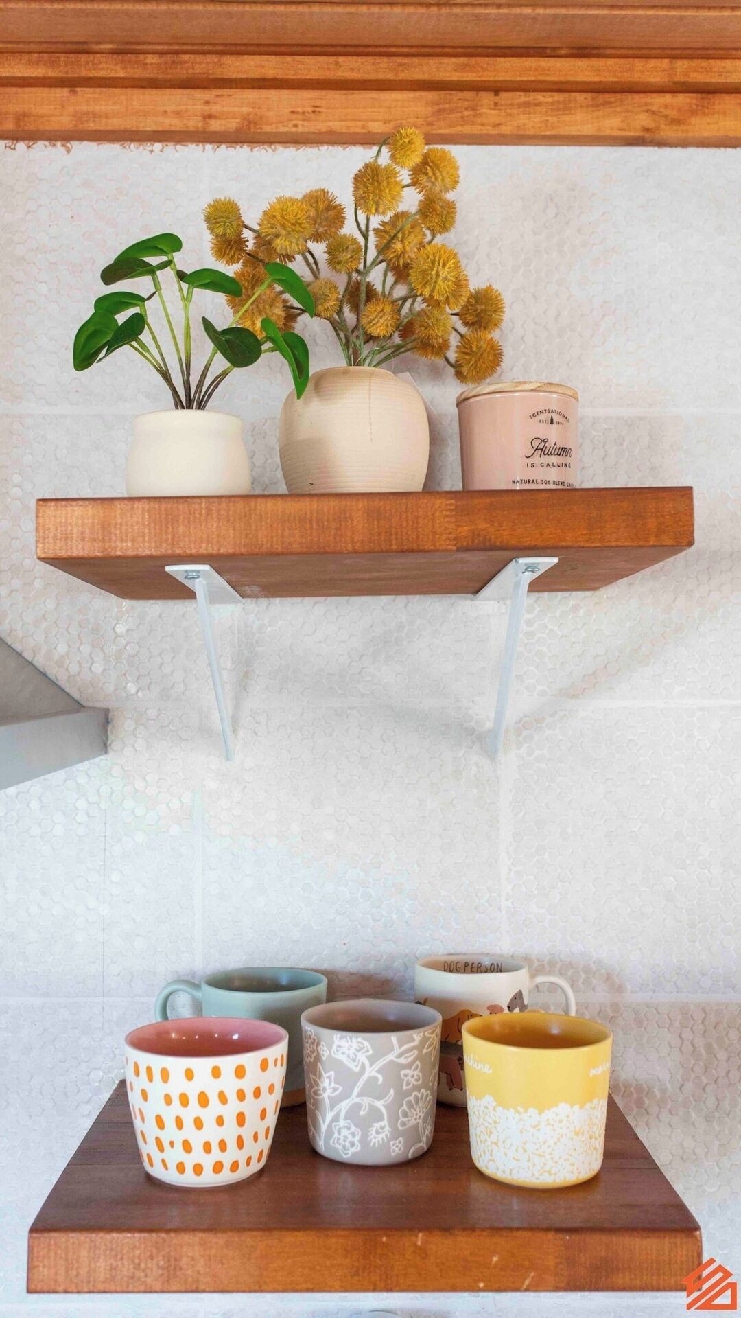 A wooden shelf with a potted plant and a container labeled "Autumn." Below, there are four ceramic mugs with different designs.