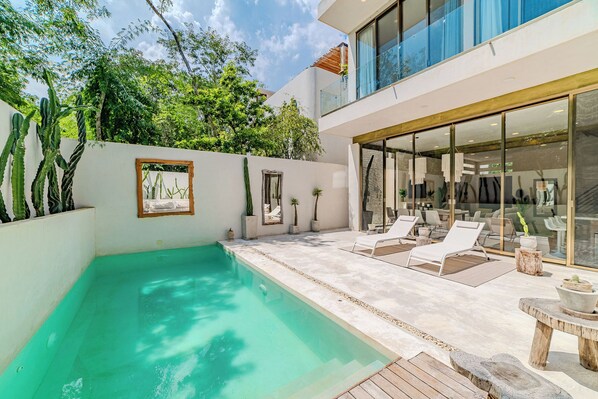 A modern outdoor pool area with a glass-enclosed patio, lounge chairs, and a variety of plants.