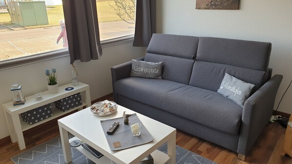 Smart TV, fireplace, books, stereo