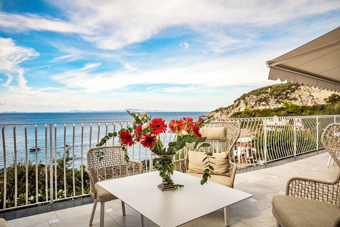 テラス / パティオ