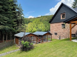 Exterior - Recreation in the forest - with swimming pool! (Heßles)