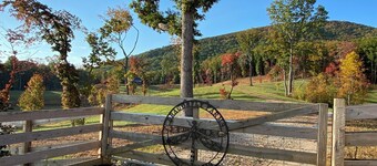 Dragonfly Farms - North Georgia Mountains Farm Retreat featuring Highland Cows