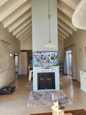 Smart TV, fireplace