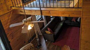 TV, fireplace, DVD player, books