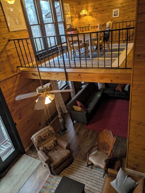 Télévision, cheminée, lecteur de DVD, livres