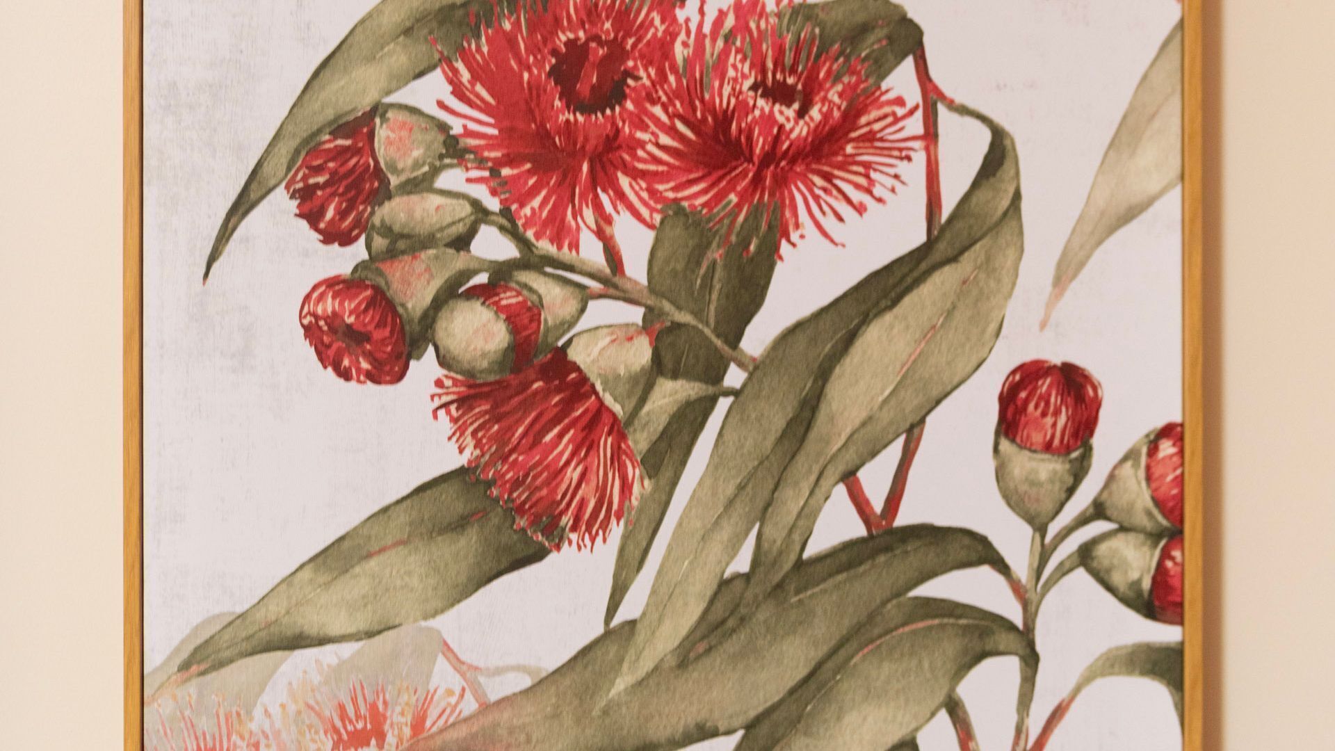 A botanical illustration of eucalyptus leaves and flowers.