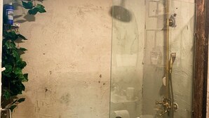 A glass-enclosed shower with a handheld showerhead and a handheld faucet.