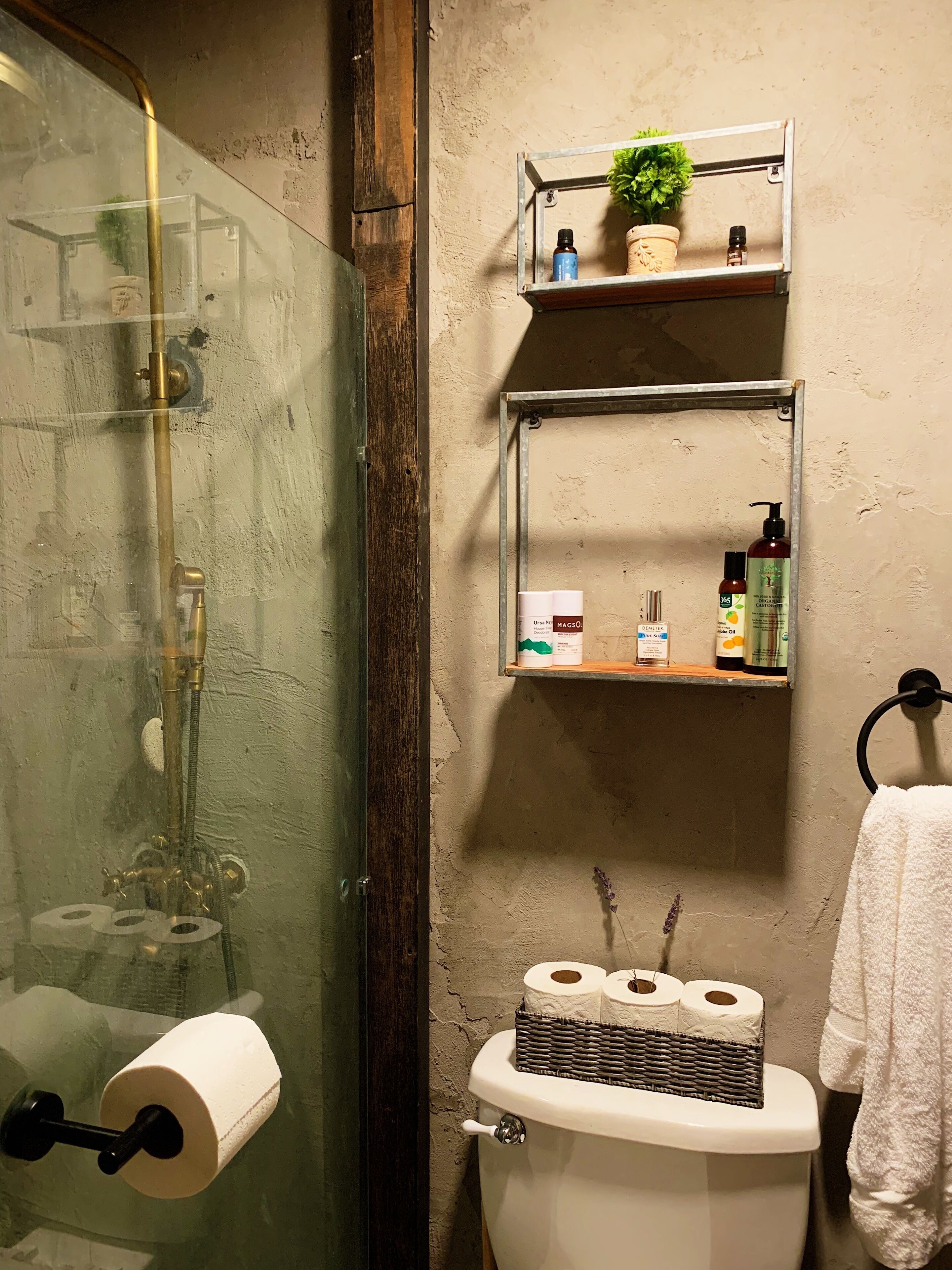 Shower, hair dryer, bidet, towels