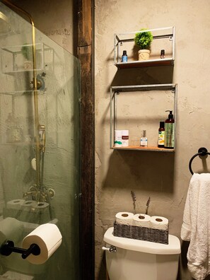 Ducha, secador de pelo, bidet, toallas