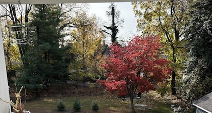 Charming 2-bedroom apartment with WiFi, AC in tranquil Morristown