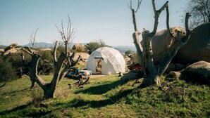A dome-shaped tent labeled "Crown" in a natural setting with trees and rocks. - A Cozy Fireside Glamping Escape with Ridge Views (Fallbrook)
