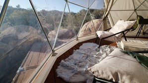 Un intérieur chaleureux offrant une vue dégagée sur l’extérieur, avec un plancher en bois, un tapis en fourrure et un fauteuil.