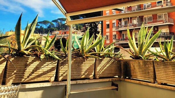 Un balcon doté d’un auvent à rayures, de plantes en pot et offrant une vue sur un immeuble avec des balcons et des balustrades.