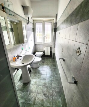 Shower, hair dryer, bidet, towels