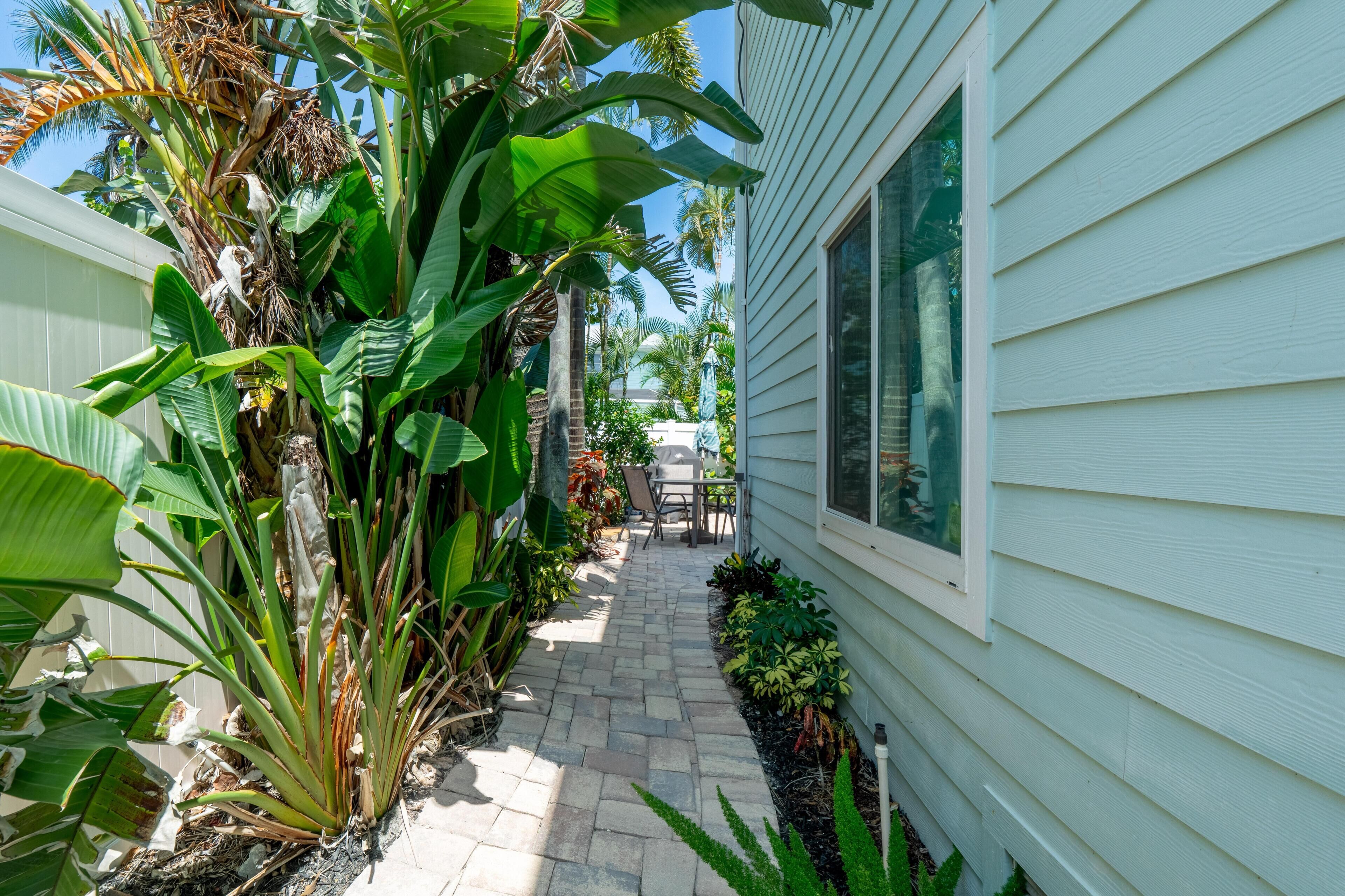 A narrow pathway flanked by lush tropical plants and a house with white siding.