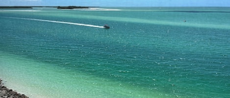 A wooden pier extending into clear turquoise waters with a boat moving away from the shore.