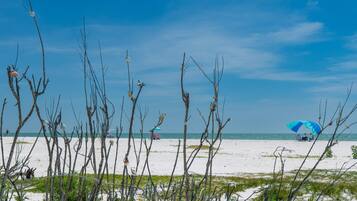Ein Strand mit vereinzelter Vegetation und blauem Himmel.