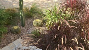 A desert garden with various cacti and ornamental grasses. - Casa Las Rocas (Begur) (Begur)