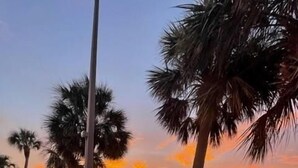 A waterfront promenade with palm trees and a sunset view. - Miramar Palms (Fort Myers Beach)