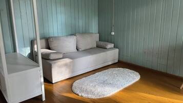 Una Smart TV, una chimenea, libros