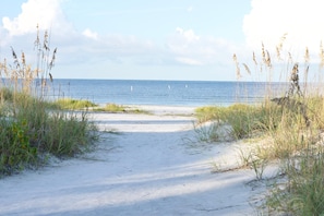 Walk along the natural beach pathway, flanked by tall grasses, to the ocean's edge.
