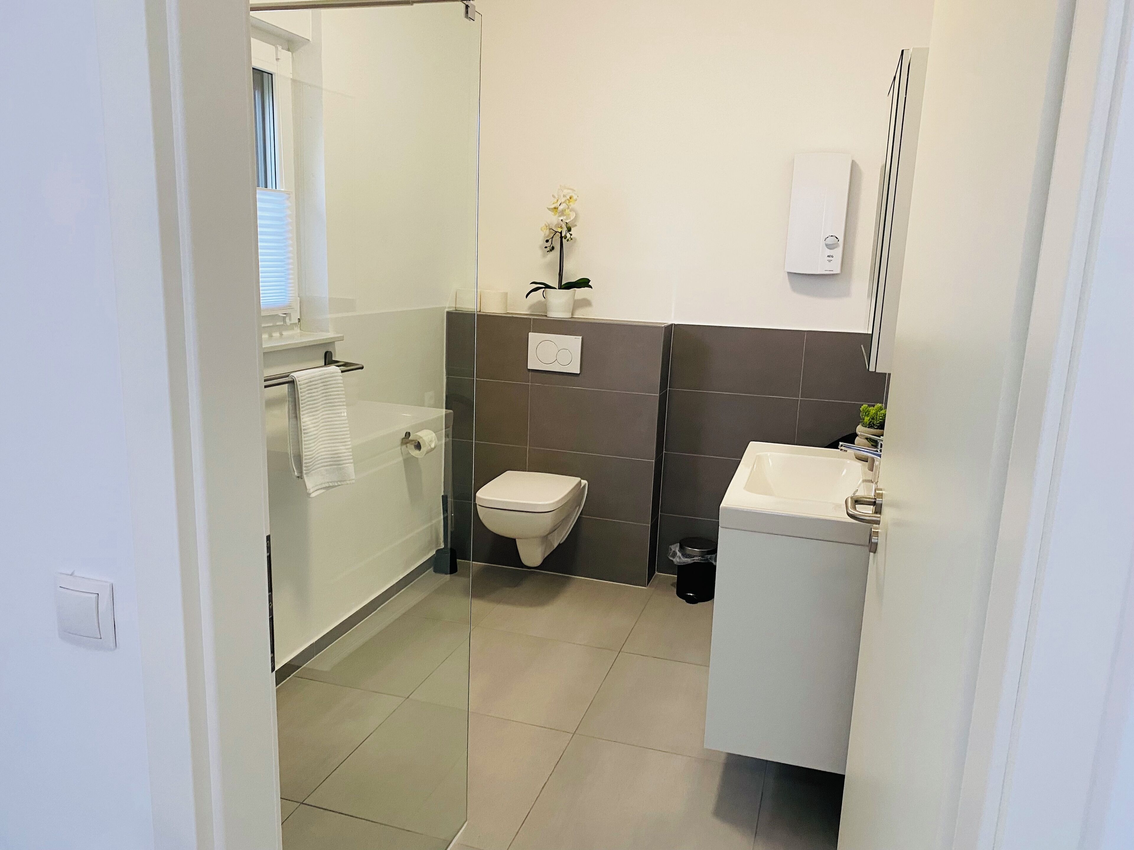 A modern bathroom with a glass shower enclosure, a toilet, a sink, and a small potted plant.