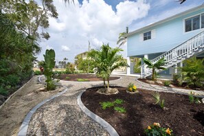 ハウス ベッド (複数台) (The Big Blue) | 施設の敷地