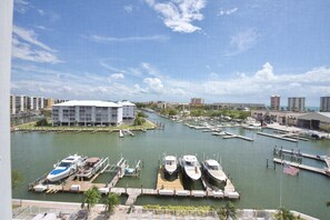 Condo, Multiple Beds (Palm Harbor #602) | Marina