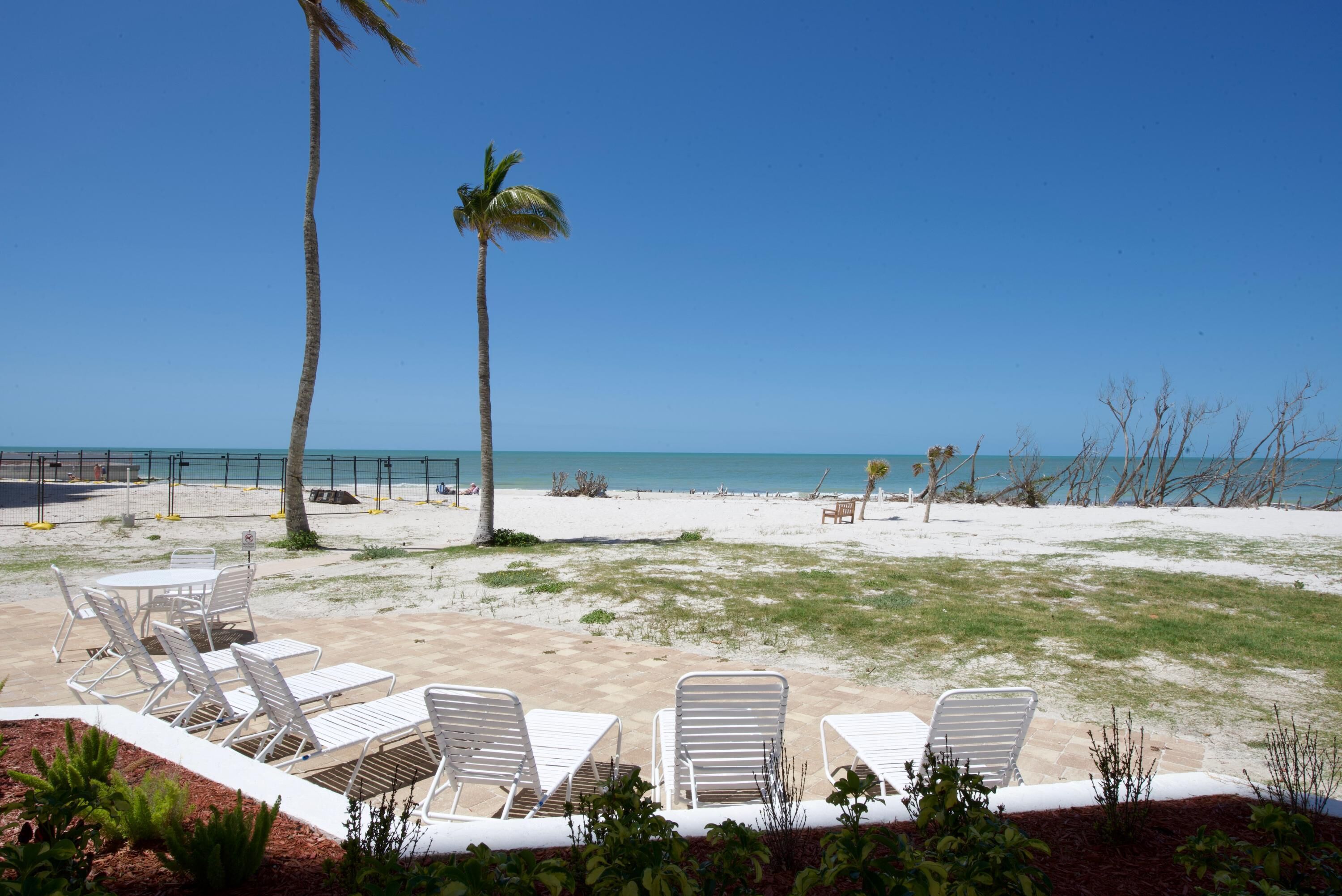 A beachside lounge area with white lounge chairs and a palm tree.