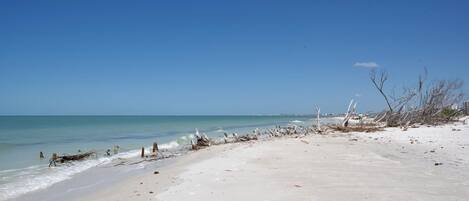 Condo, 1 King Bed with Sofa bed (Estero Beach & Tennis 901-C) | Beach | On the beach