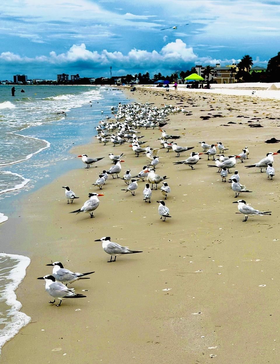 ชายหาด