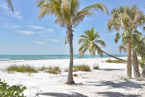 Appartement, Meerdere bedden (Pelican Watch #502) | Strand | Accommodatie ligt op het strand