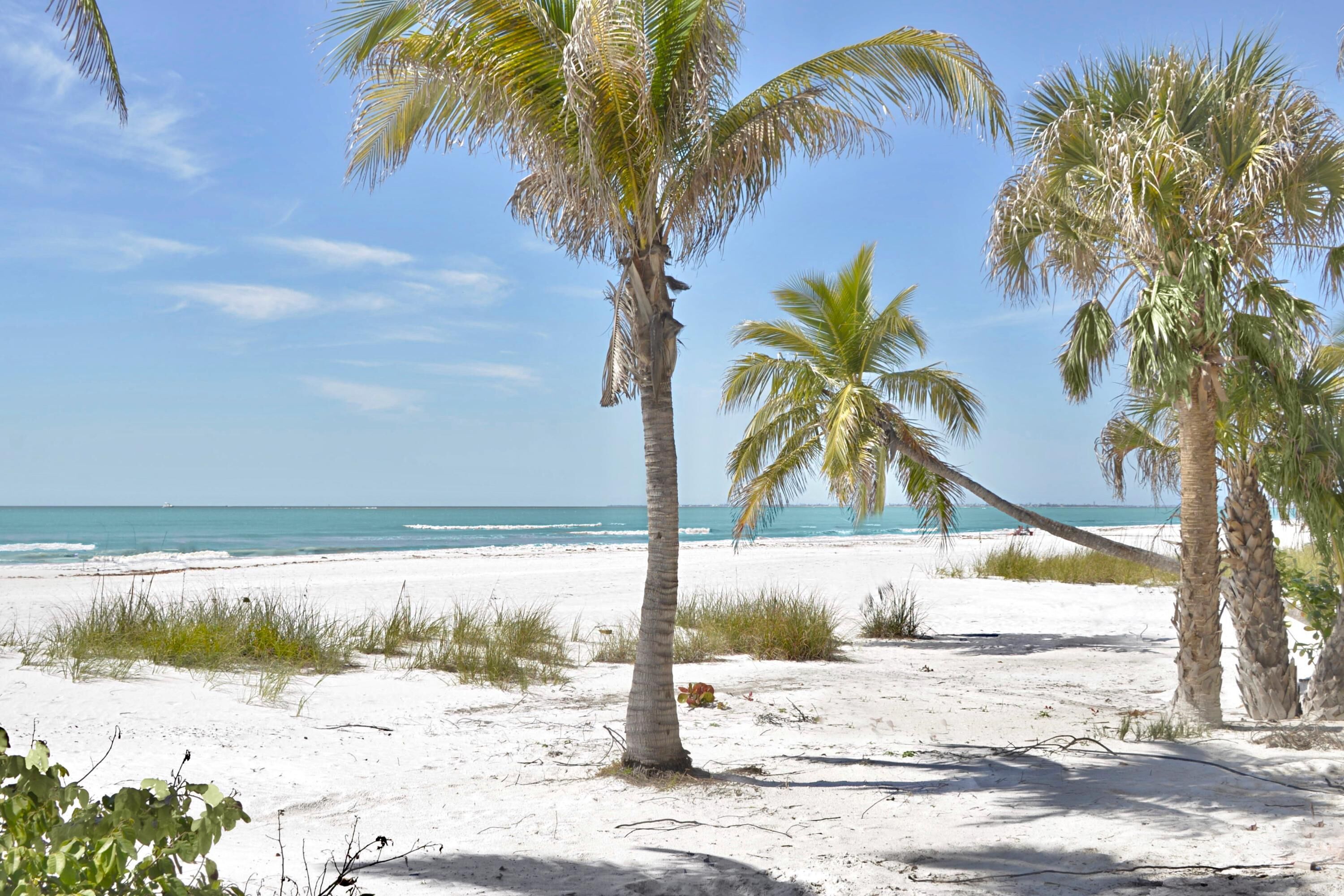 Condo, Multiple Beds (Pelican Watch #603) | Beach