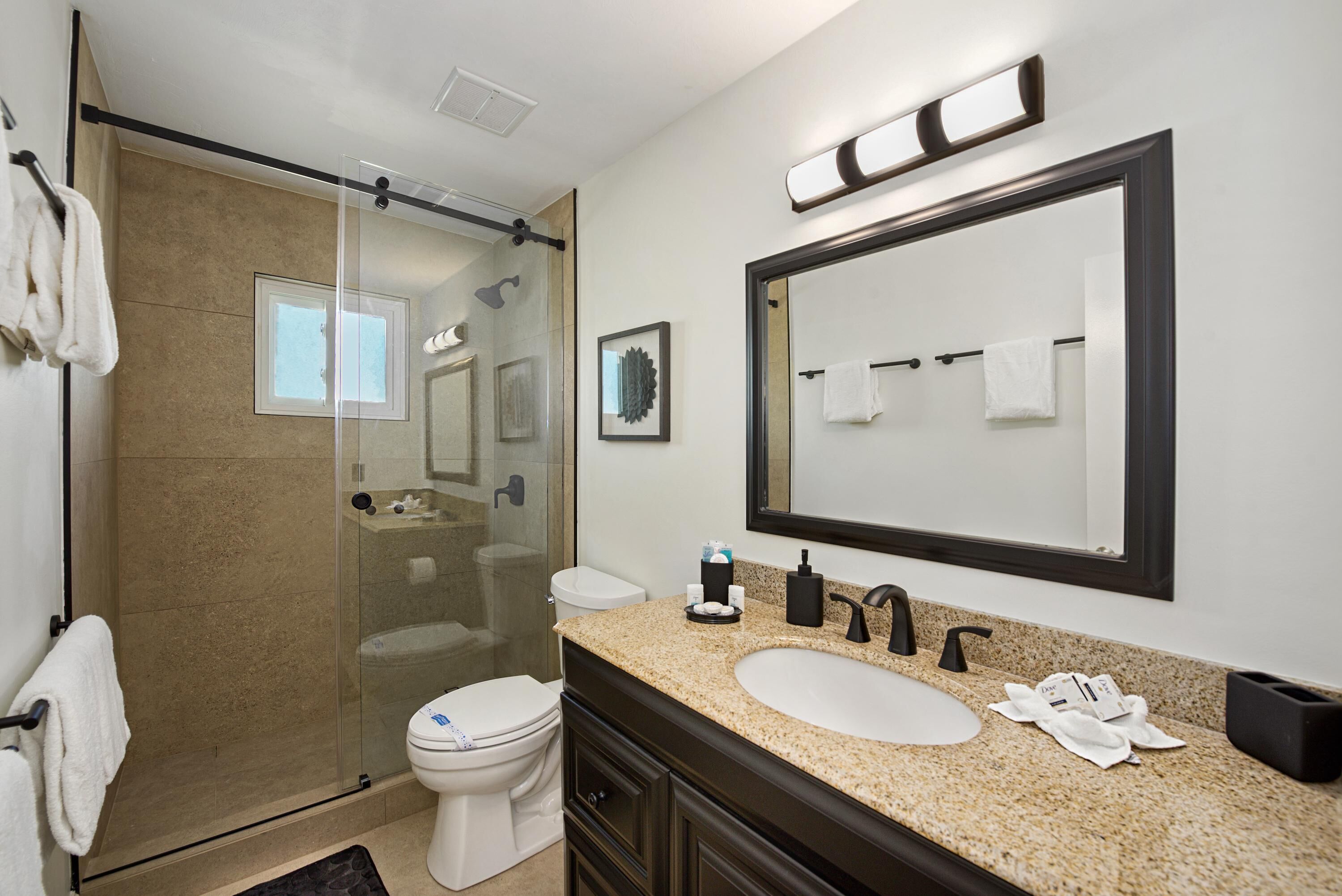 A modern bathroom with a glass-enclosed shower, a large mirror, a sink, and a toilet.