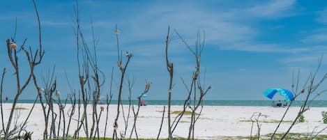 Condo, 1 trÚs grand lit et 1 canapé-lit (Lovers Key #806) | Plage | Sur la plage