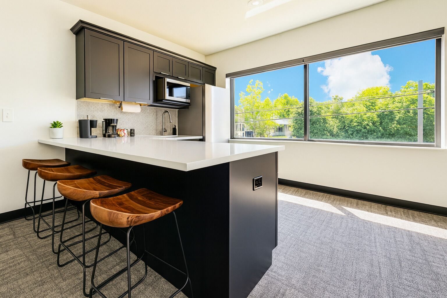 Fridge, microwave, coffee/tea maker, toaster