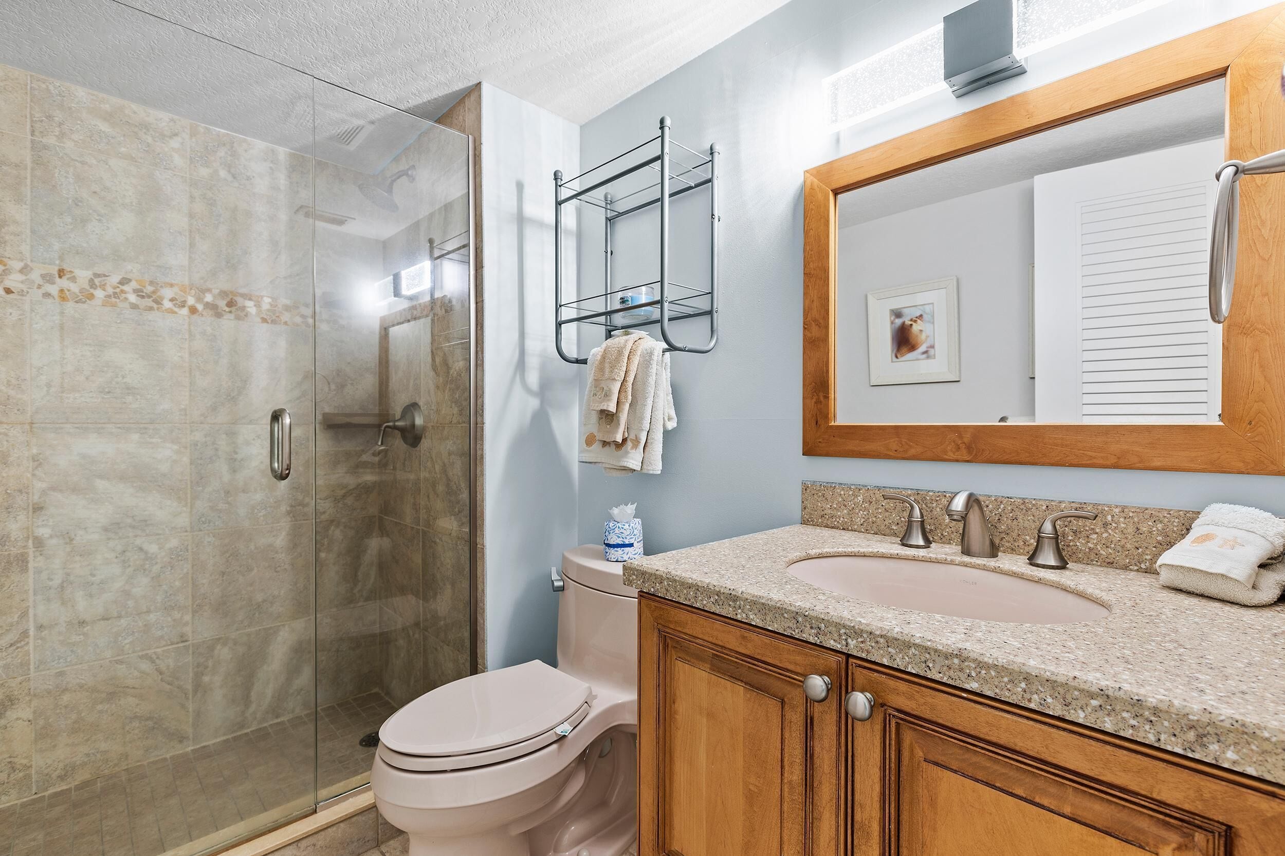 Une salle de bain avec une douche à parois de verre, des toilettes, un lavabo avec un meuble-vasque et un porte-serviettes.